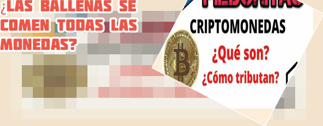 Que son las ballenas en criptomonedas