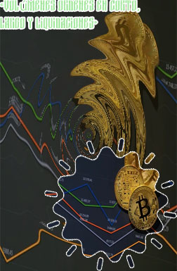 Variacion precio bitcoin en español
